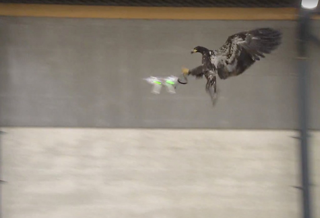EaglesDrones