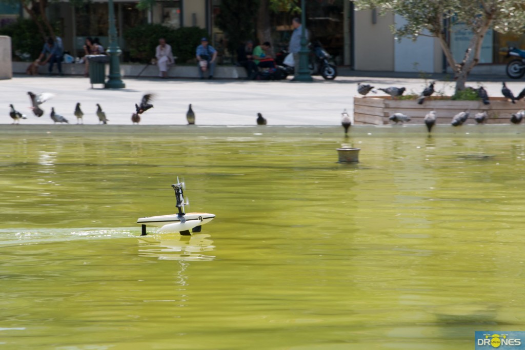 parrot hydrofoil (10)