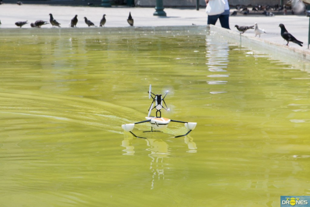 parrot hydrofoil (11)