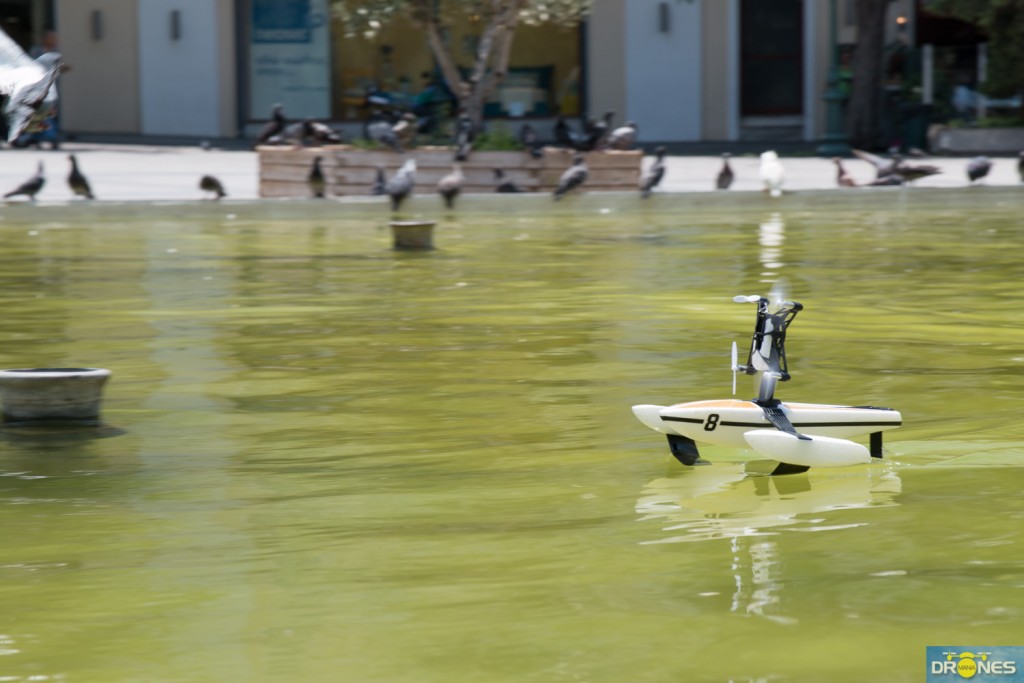 parrot hydrofoil (15)
